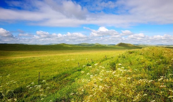 最美草原季—这个暑假
