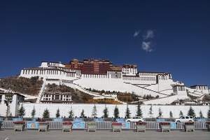 青藏高原|贵阳到西藏旅游|拉萨布达拉宫罗布林卡三卧一飞8天
